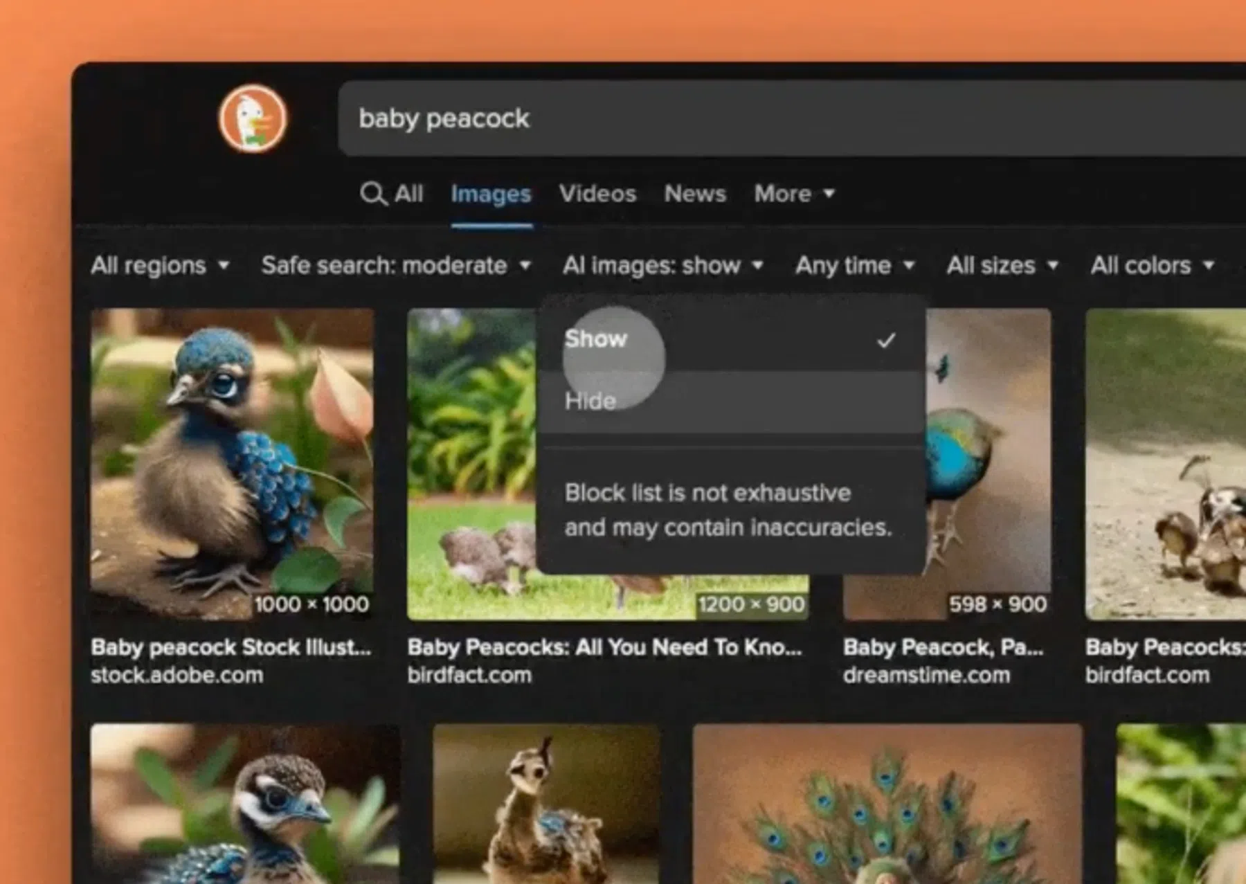 DuckDuckGo AI Filter